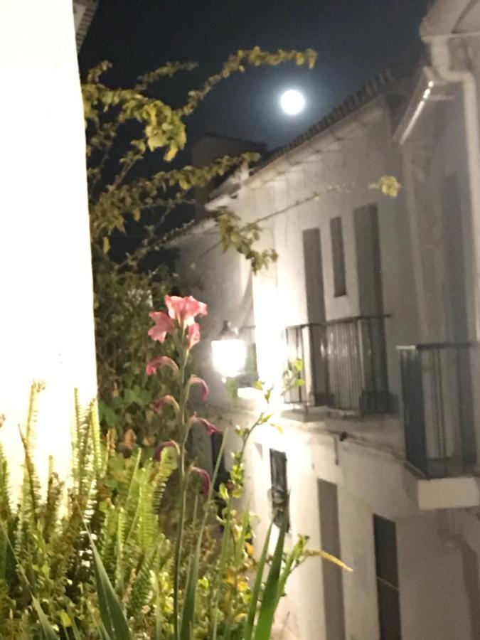 El Corralon Konuk evi Frigiliana Dış mekan fotoğraf